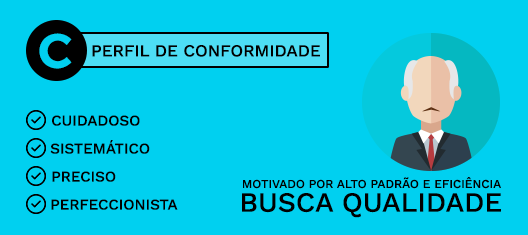 Perfil C